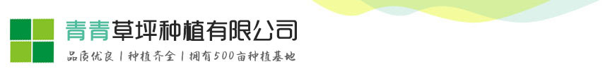 kb88凯时开户
