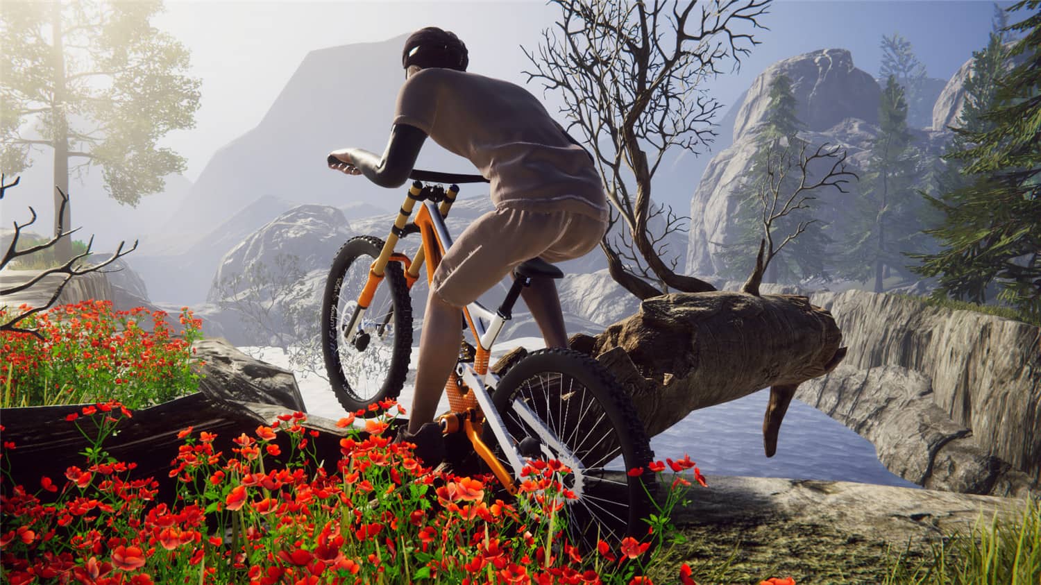 自行车骑手模拟器/Bicycle Rider Simulator v22.08.05.1408